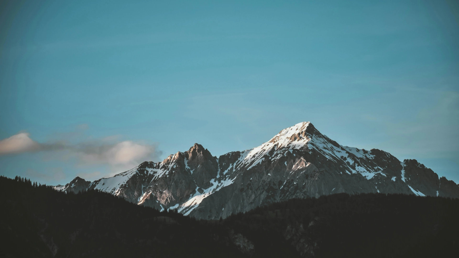 page banner image
