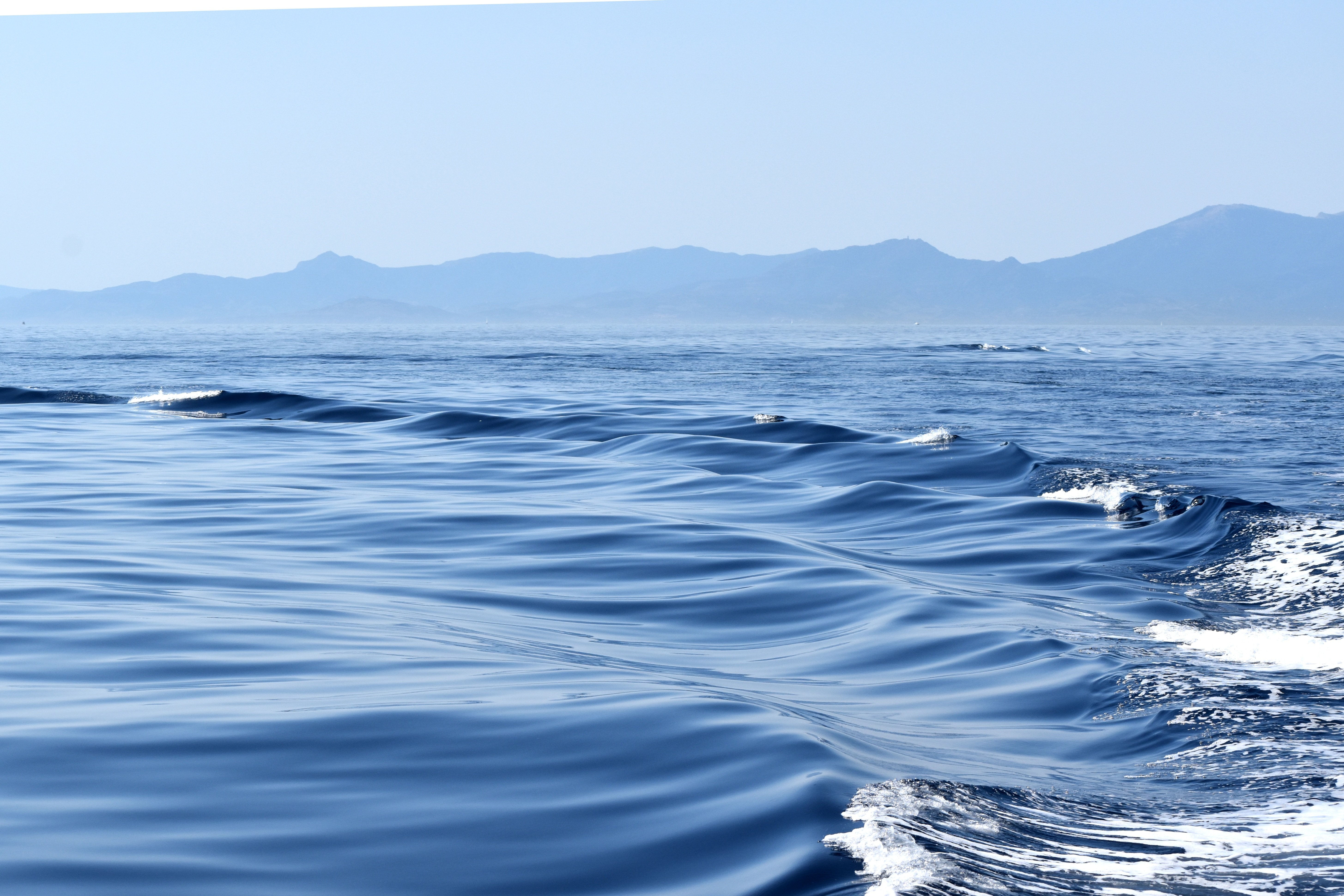 page banner image